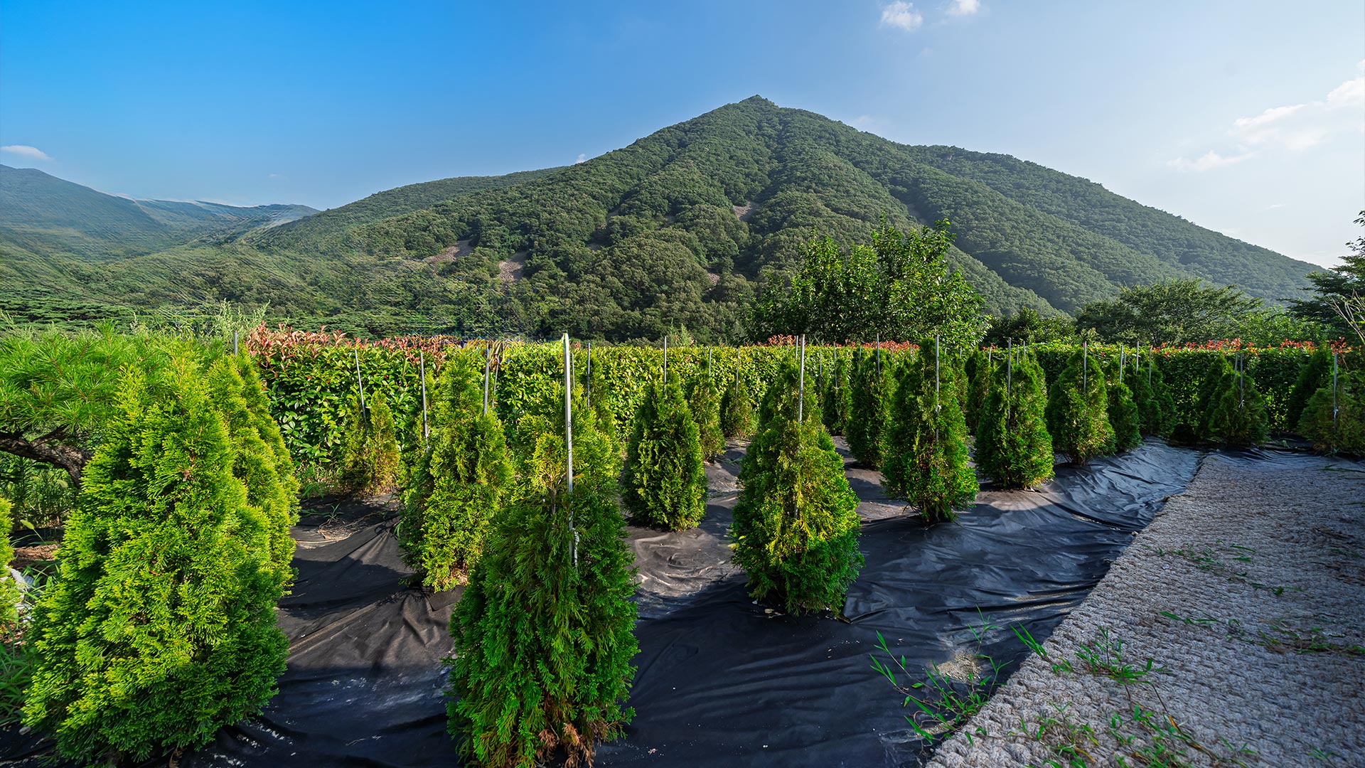 슬라이드 이미지7