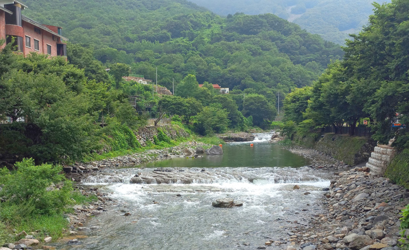 펜션 앞 계곡