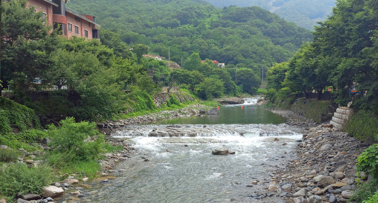 펜션 앞 계곡1
